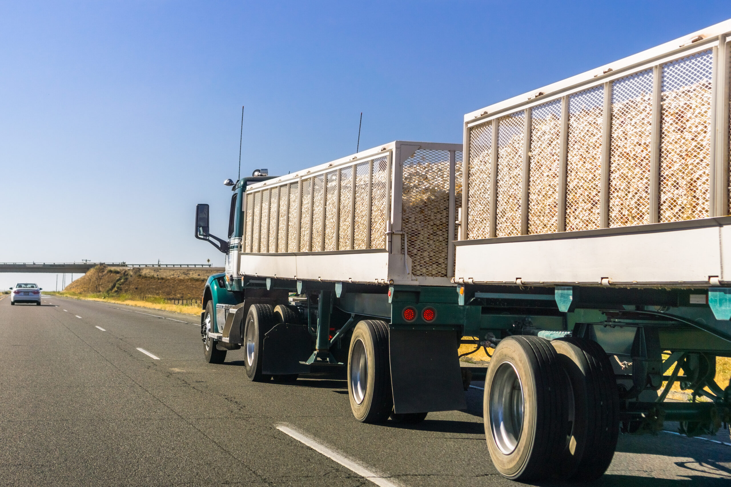 Truck Carrying Onion Harvest